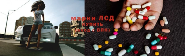 индика Арсеньев