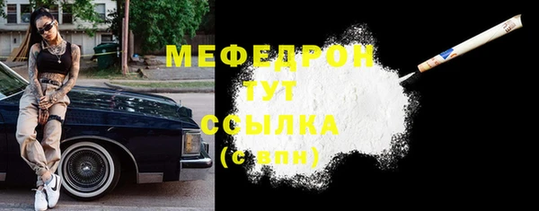 индика Арсеньев