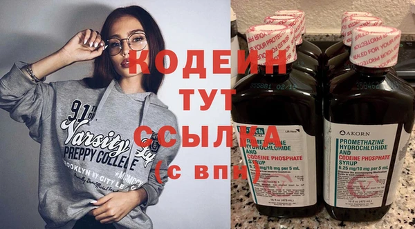 индика Арсеньев
