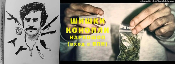 индика Арсеньев