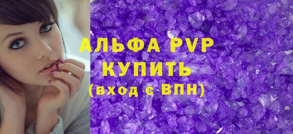 индика Арсеньев