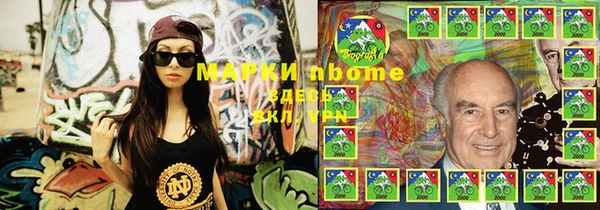 индика Арсеньев
