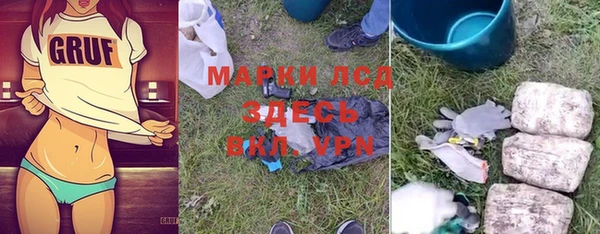 индика Арсеньев