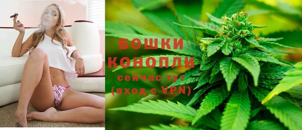 индика Арсеньев