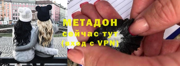 индика Арсеньев